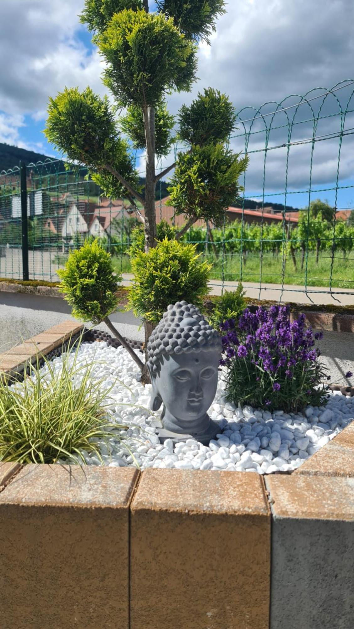 Au Jardin D'Edel Gites Centre Alsace Dieffenthal Bagian luar foto